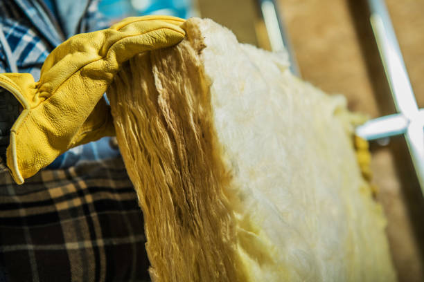 Best Geographic-Specific Insulation Services in Weber City, VA