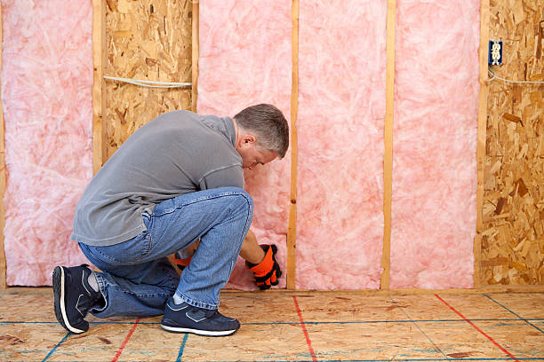 Best Eco-Friendly Insulation in Weber City, VA