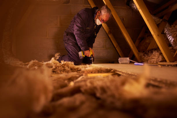 Best Eco-Friendly Insulation in Weber City, VA