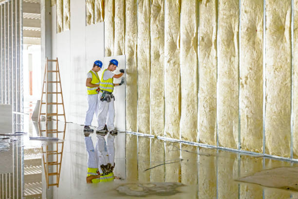 Best Residential Insulation in Weber City, VA
